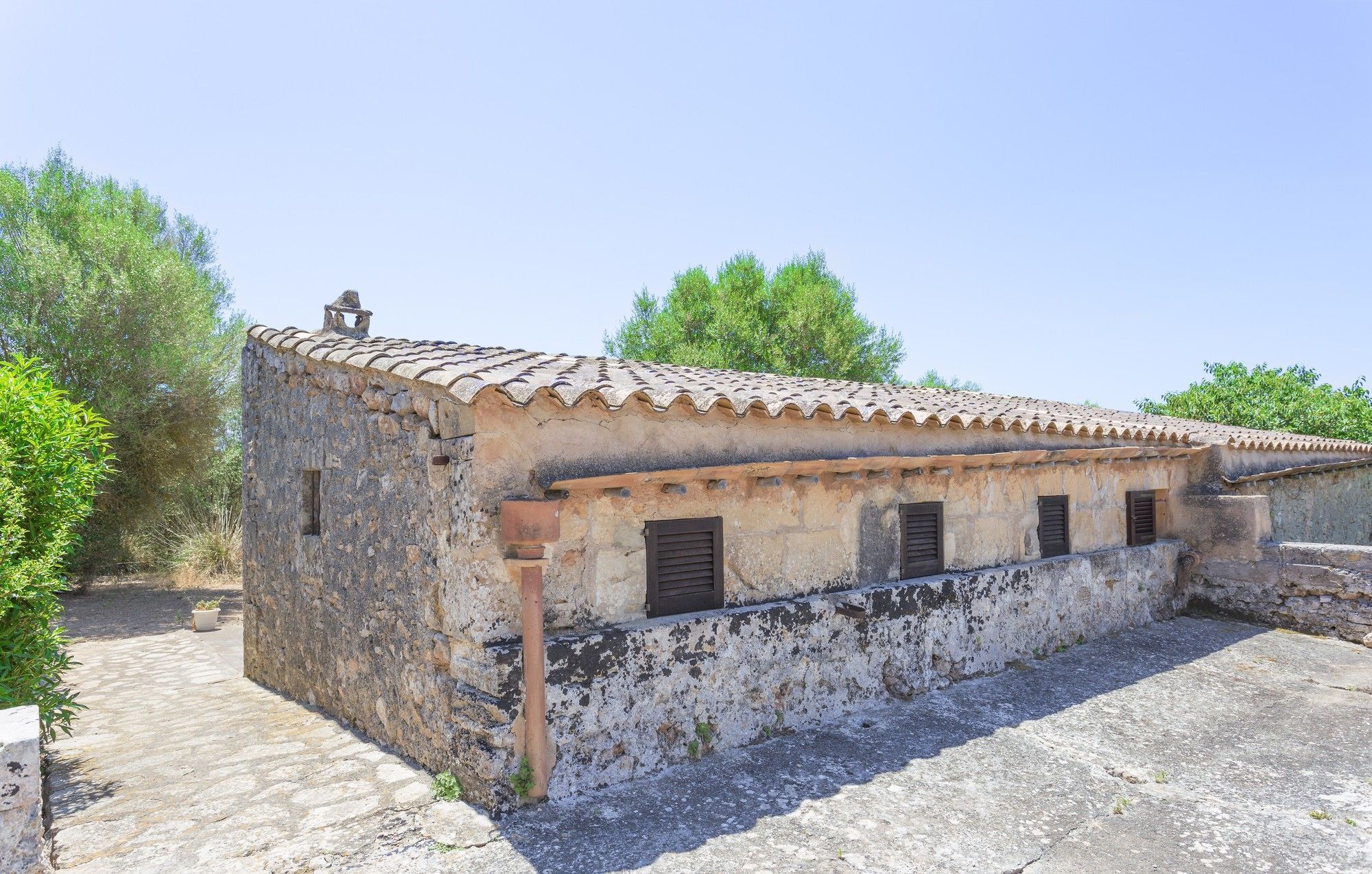 Sureda Figueral * Manacor (Mallorca)