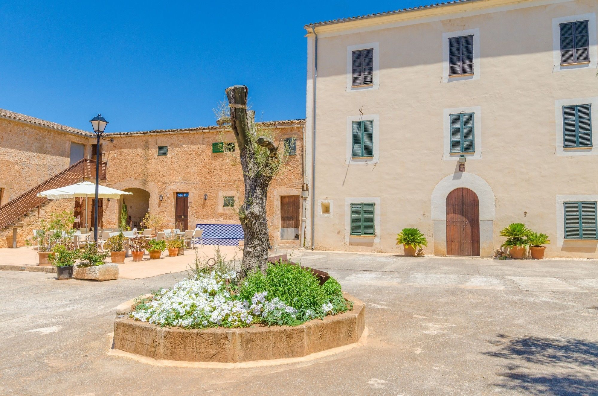 Sureda Figueral Manacor (Mallorca)