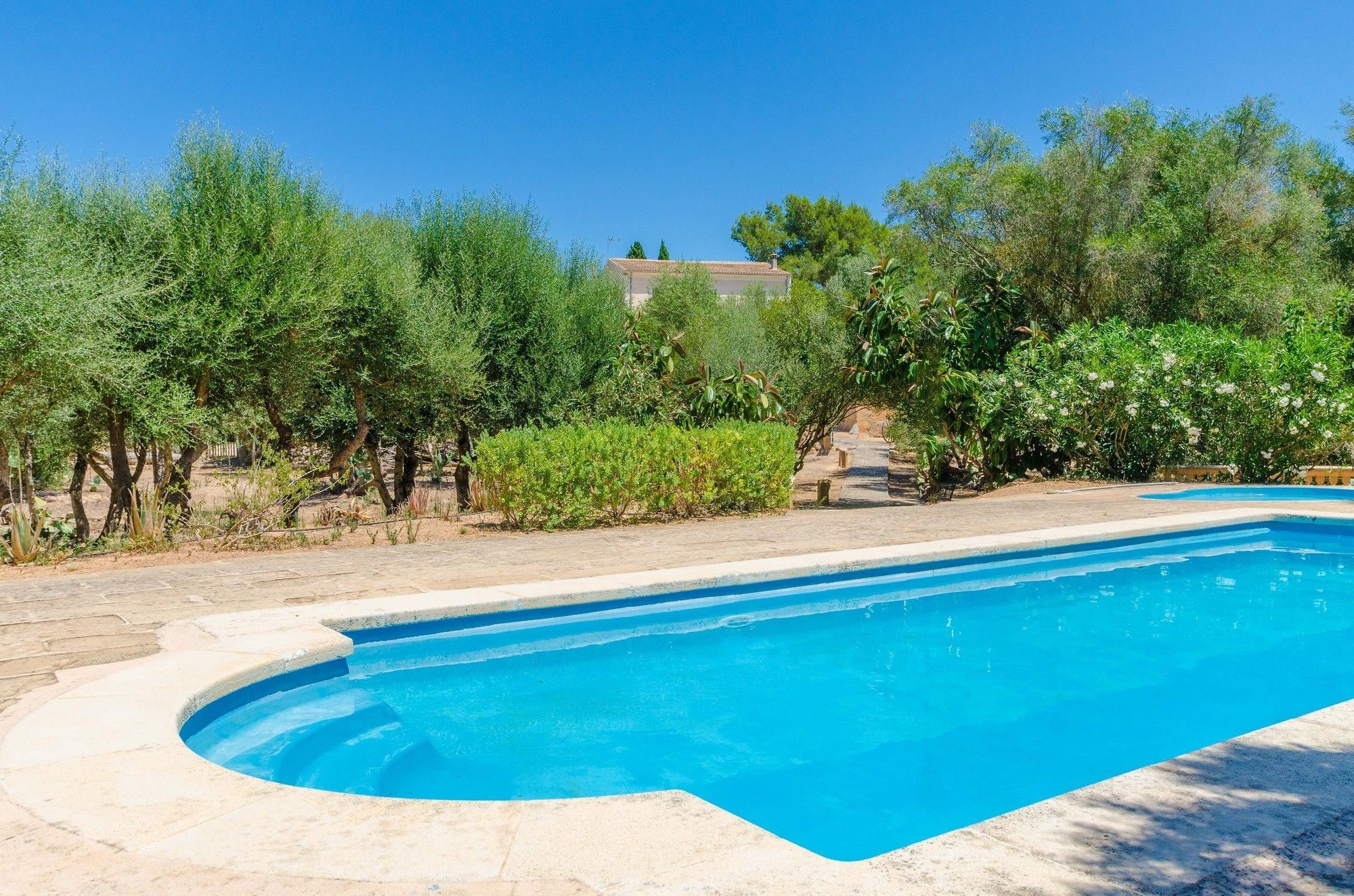 Apartment Sureda Figueral *